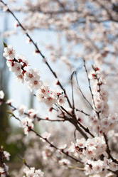 Similar image 7490780