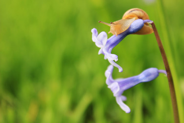 Similar image 7491095