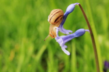 Similar image 7491097