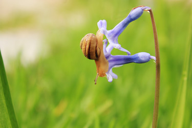 Similar image 7491103