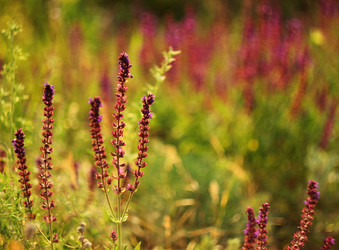 Similar image 7491107