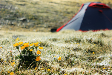 Similar image 7491112