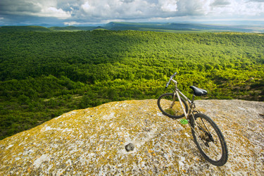 Similar image 7491115