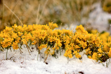 Similar image 7491131