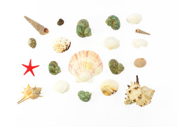 Similar image 7491173