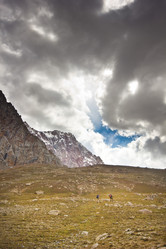 Similar image 7491184