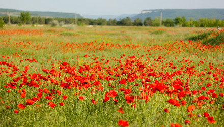 Similar image 7491191