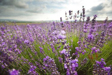 Similar image 7491192