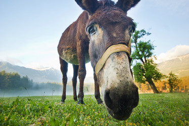 Similar image 7491194