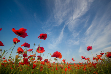 Similar image 7491203