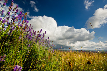 Similar image 7491235