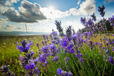 Similar image 7491236