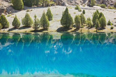 Similar image 7491248