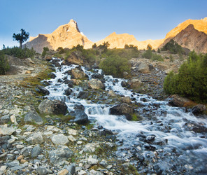 Similar image 7491254