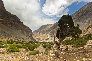 Similar image 7491276