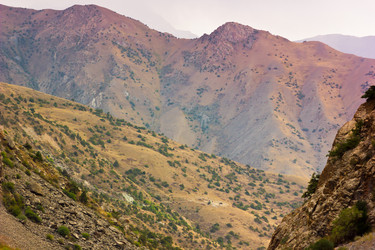 Similar image 7491281