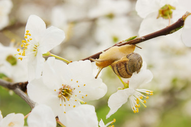 Similar image 7491287