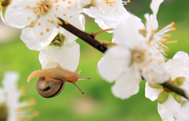 Similar image 7491299