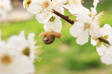 Similar image 7491300