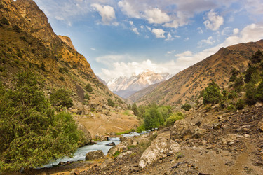 Similar image 7491310