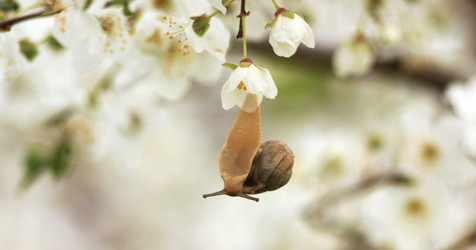 Similar image 7491311