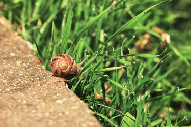 Similar image 7491312