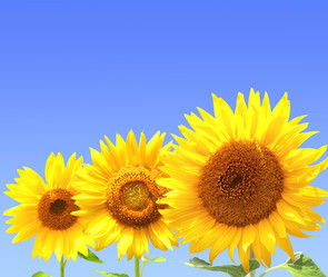 Similar image 7491430