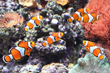 Similar image 7491431