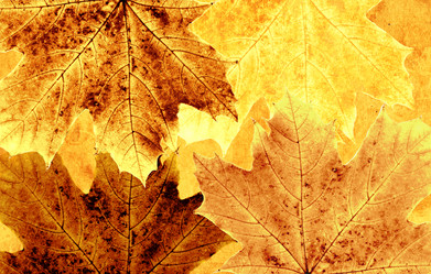 Similar image 7491441