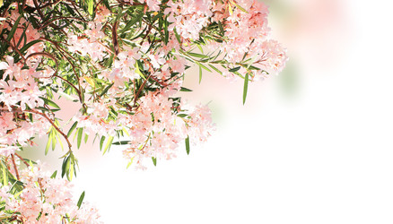 Similar image 7491446