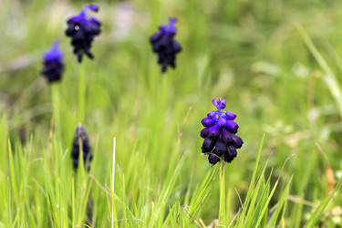 Similar image 7491465