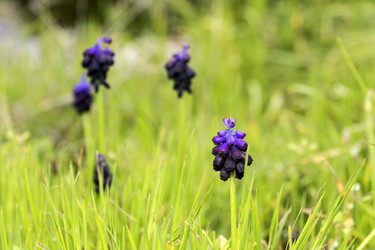 Similar image 7491466