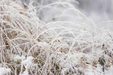 Similar image 7491478