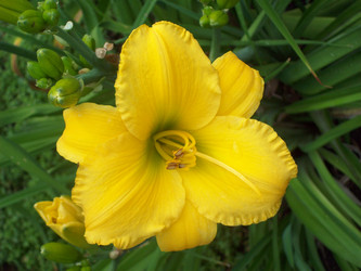 Similar image 7491513