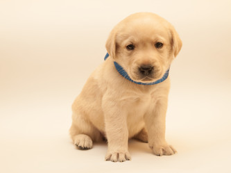 Similar image 7491533