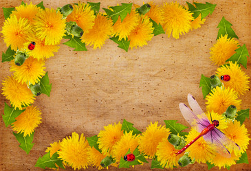 Similar image 7491562