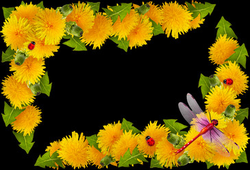 Similar image 7491567