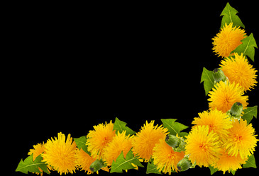 Similar image 7491568