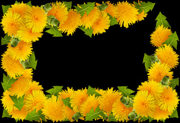 Similar image 7491570