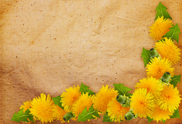 Similar image 7491571