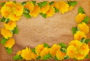 Similar image 7491572