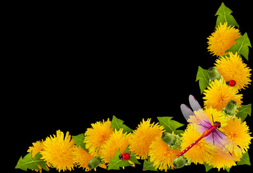 Similar image 7491573