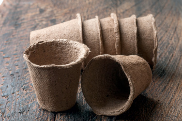 Similar image 7491576