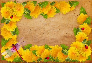 Similar image 7491593