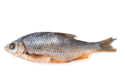 Similar image 7491594