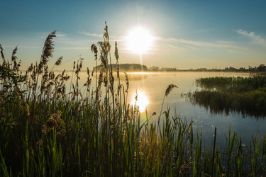 Similar image 7491595