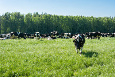 Similar image 7491599