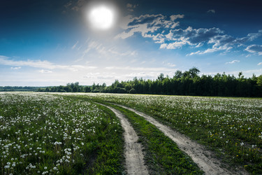 Similar image 7491600