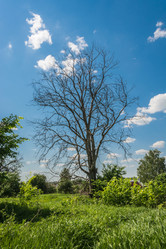 Similar image 7491603