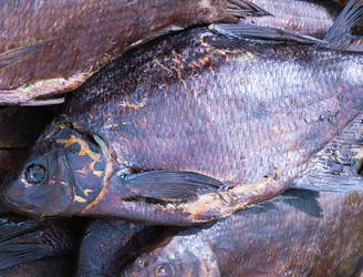 Similar image 7491609